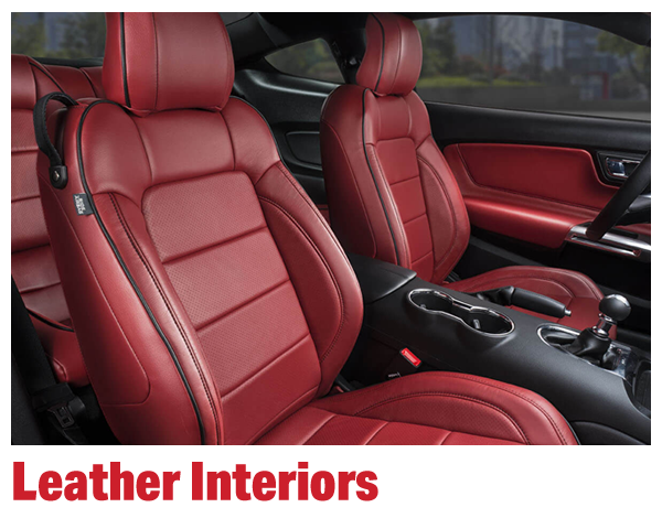 Leather Interiors